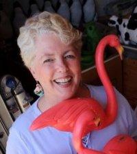 kerry hargraves w flamingo