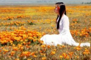 geisha_in_sea_of_poppies